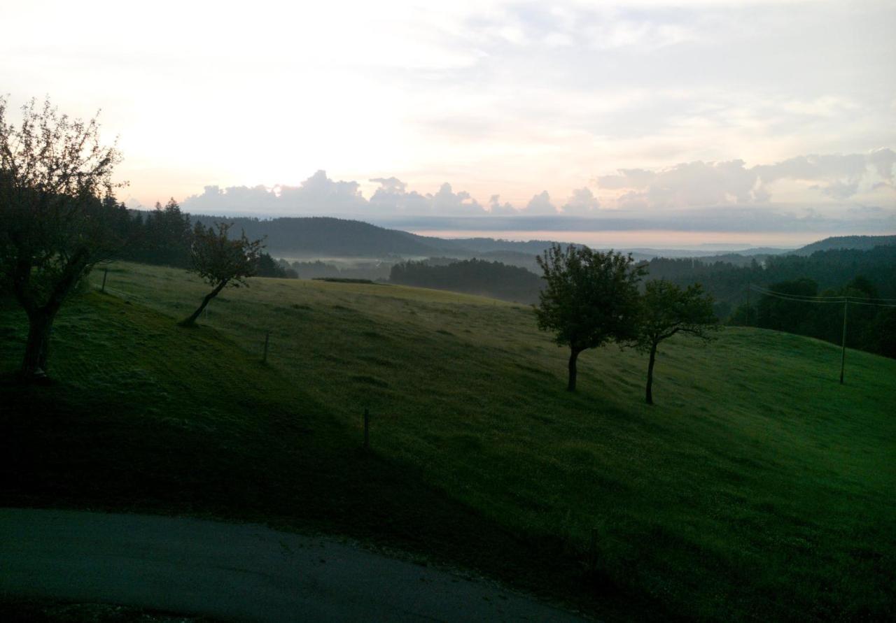Apartment Urlaub An Der Grenze