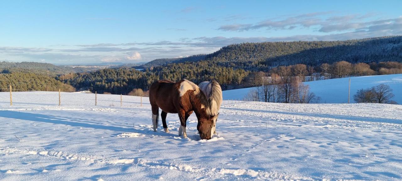 Urlaub An Der Grenze